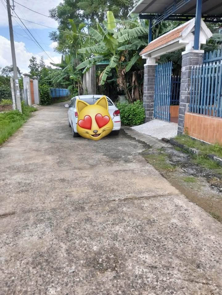 Đất nền 260m² kiệt Xuân Phú, Hòa Khánh, Đà Nẵng - Giá chỉ 1.55 tỷ!