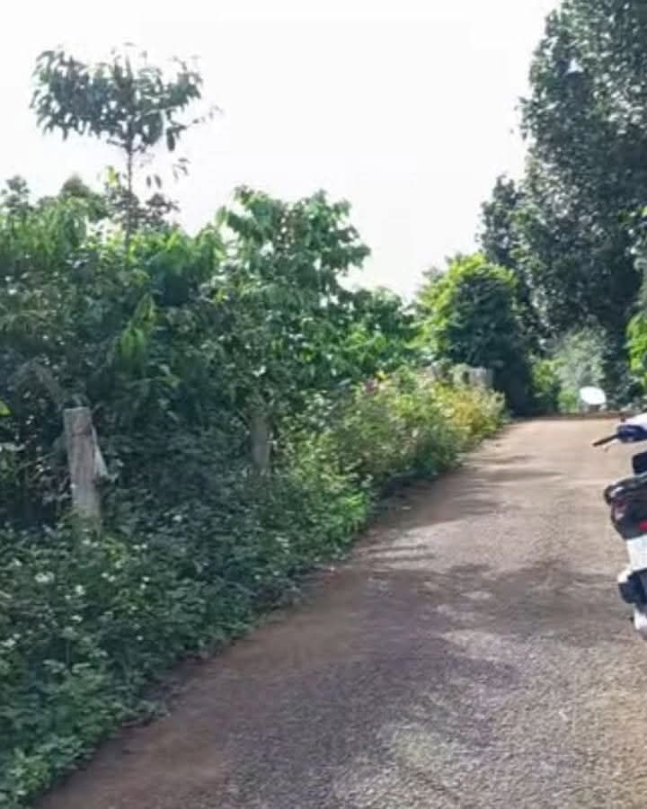 Đất nền Bảo Lộc 480m² giá 2.4 tỷ - Sổ đỏ chính chủ