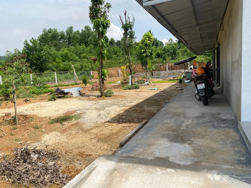 Mảnh vườn 560m² thôn Xuân Phú, Hòa Sơn giá 4 tỷ - Nơi an yên giữa thiên nhiên!