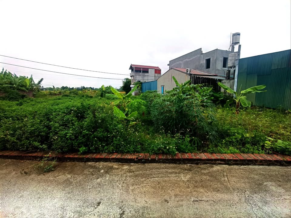 Đất nền Hiền Ninh, Sóc Sơn 63.3m² giá 1.75 tỷ - Tiềm năng sinh lời cao!