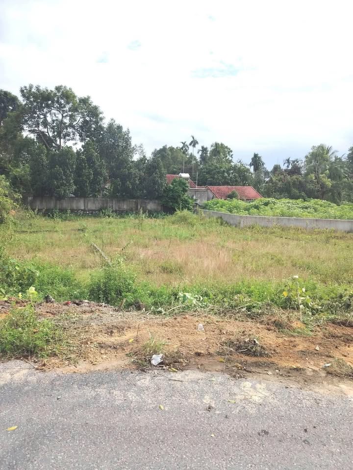 Đất mặt đường liên xã Xuân Trung, Đô Lương 160m² giá 700 triệu - Lô góc 2 mặt tiền thoáng đãng!