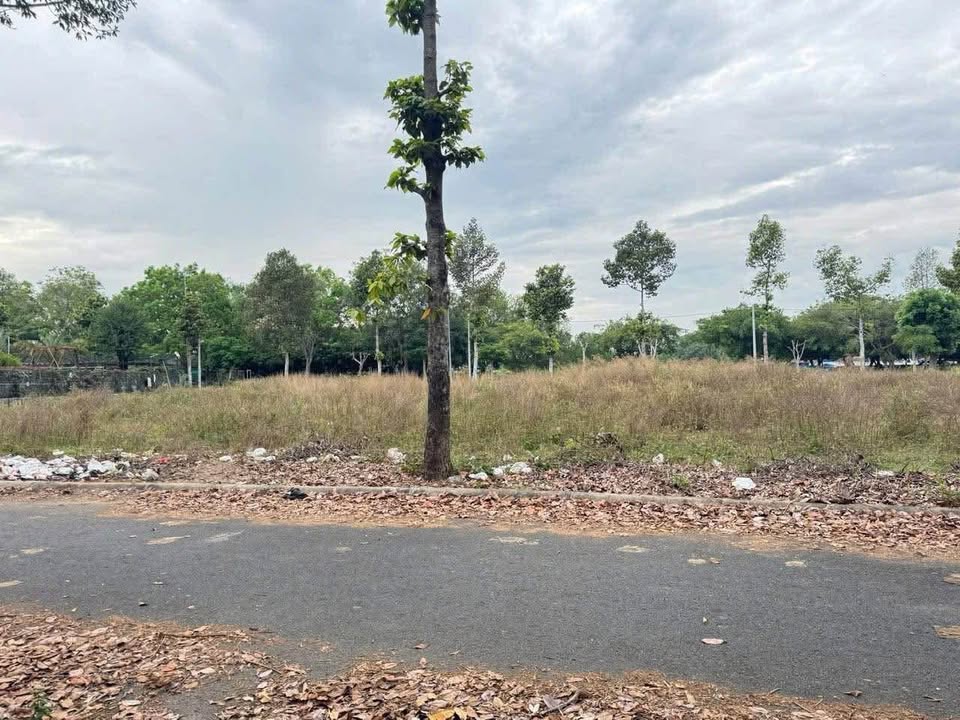 Đất nền biệt thự 547m² đường số 29, KDC Đại Dương, Tân An - Giá chỉ 11 tỷ!