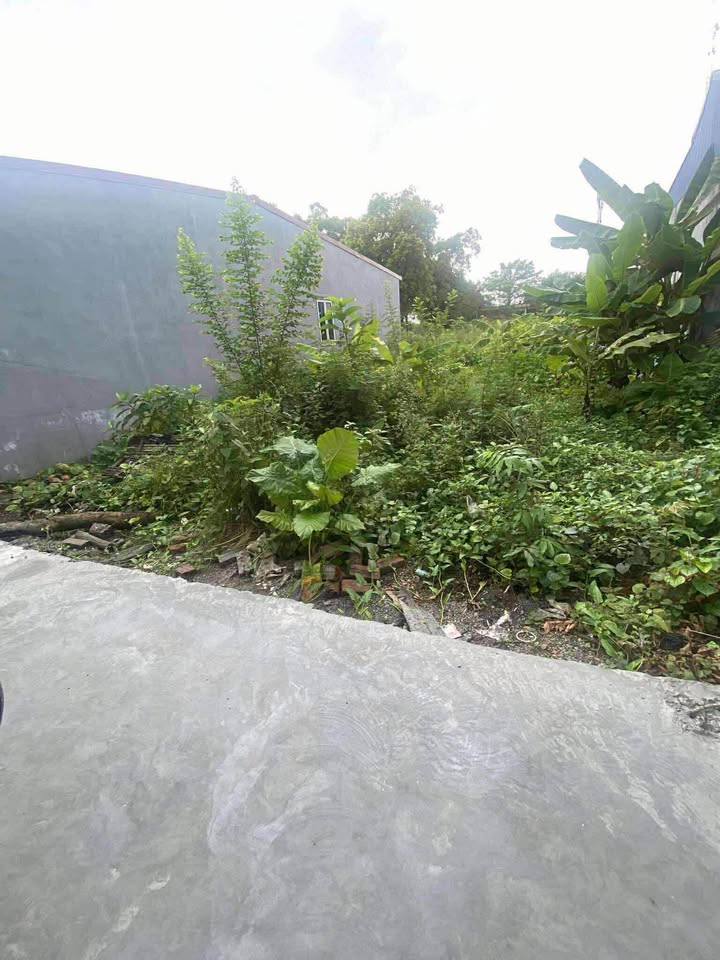 Đất Lộc Vượng Nam Định 65m² giá 1.829 tỷ - Sổ đỏ chính chủ!