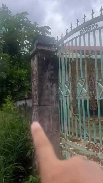 Vườn Sầu Riêng 1,5ha tại Lộc An, Lộc Ninh - Đầu tư sinh lời hấp dẫn chỉ 4.8 tỷ!