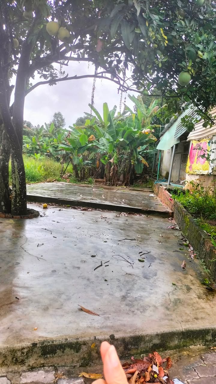 Đất thổ cư 100m² tại Quốc lộ 14, Đăk Hà - Giá 1 tỷ, cơ hội đầu tư tuyệt vời!