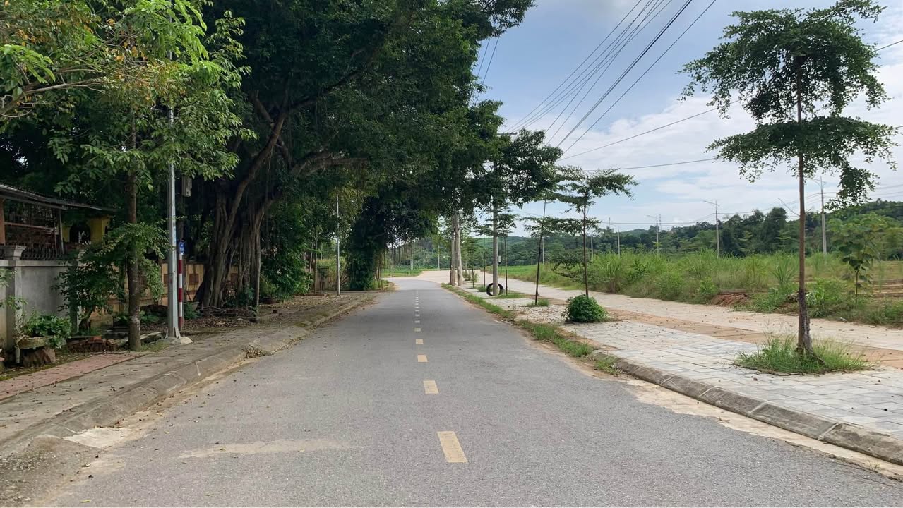 Đất nền dự án TDC Trần Phú Yên Bái 100m² giá chỉ 1.1 tỷ - Cơ hội đầu tư tuyệt vời!