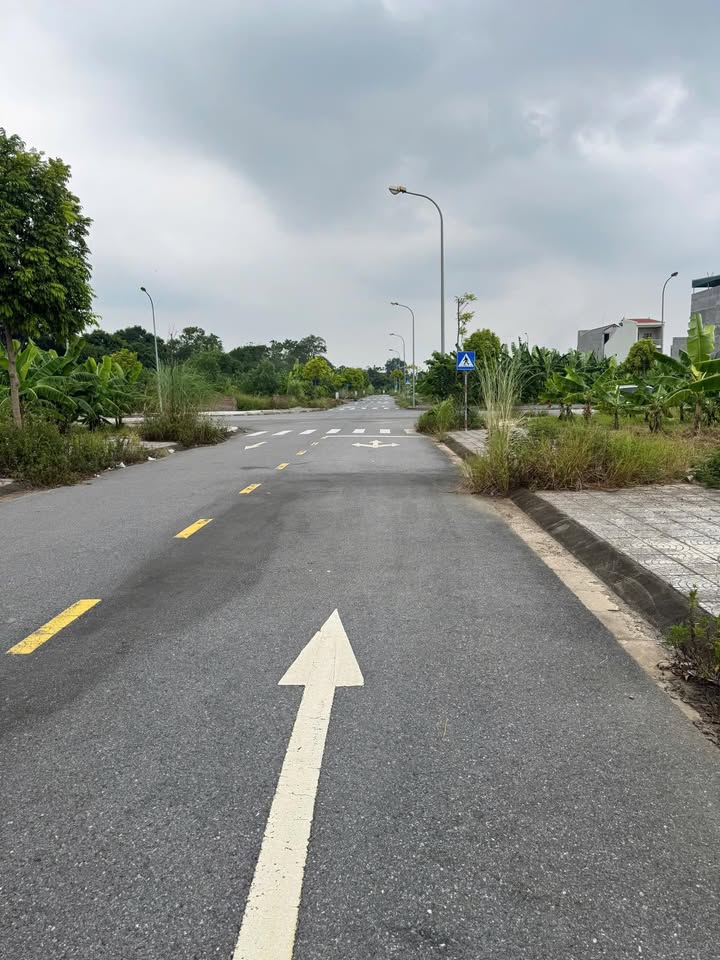 Đất chính chủ Bến Gót - Việt Trì 180m² giá 3 tỷ - Sẵn sàng giao dịch!