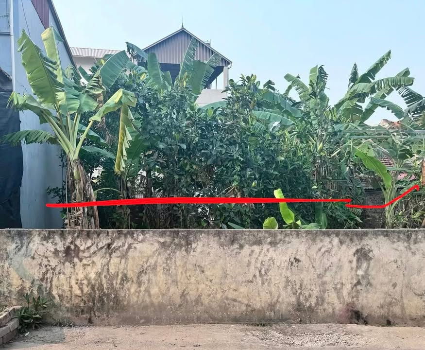 Đất đẹp Thượng Cát Bắc Từ Liêm 90m² giá chỉ 80 triệu - Cơ hội đầu tư lý tưởng!