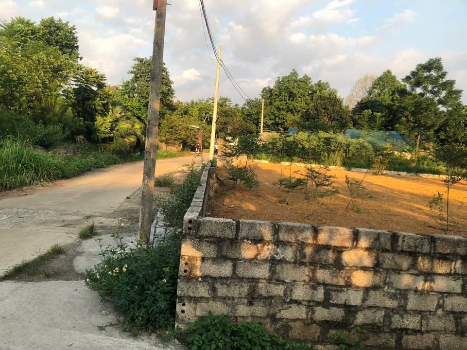 Đất vàng nghỉ dưỡng Ba Vì 486m² giá chỉ 5 tỷ - Đầu tư sinh lời ngay!