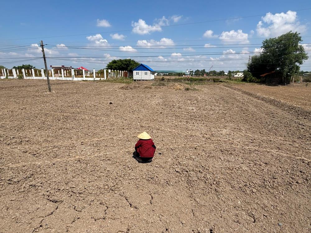 Đất nền 900m² xã Long Hựu, giá chỉ 1 tỷ - Sổ đỏ chính chủ