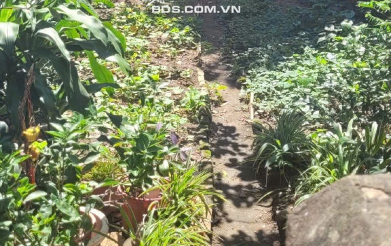 Bán đất khu quân đội Z133 – Đức Giang, Long Biên 52m² giá 8 tỷ - An ninh tốt, tiềm năng tăng giá!