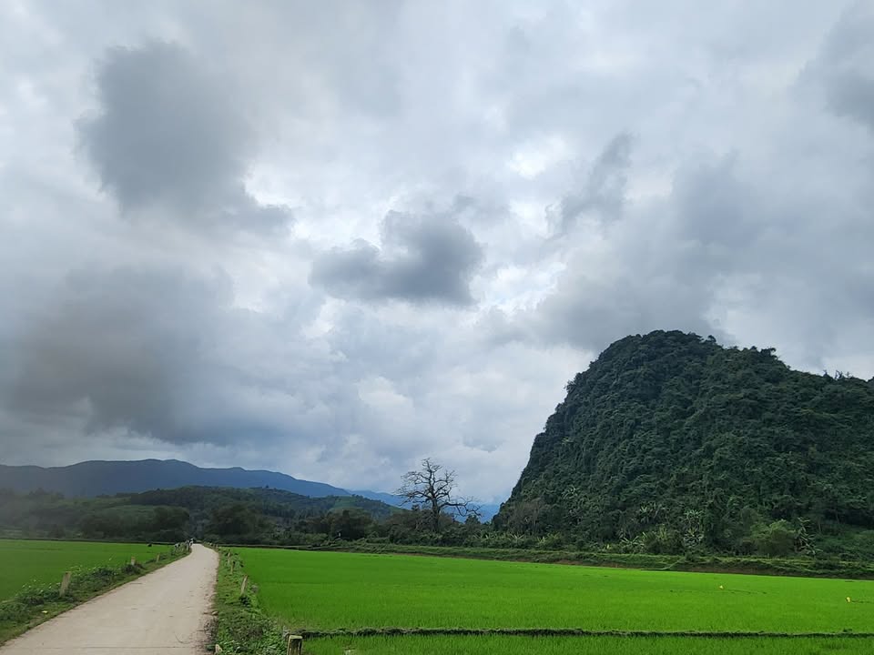 Đất sổ riêng Nguyên Tử Lực, phường 8 Đà Lạt 130m² giá 2.05 tỷ - Đầu tư sinh lời hấp dẫn!