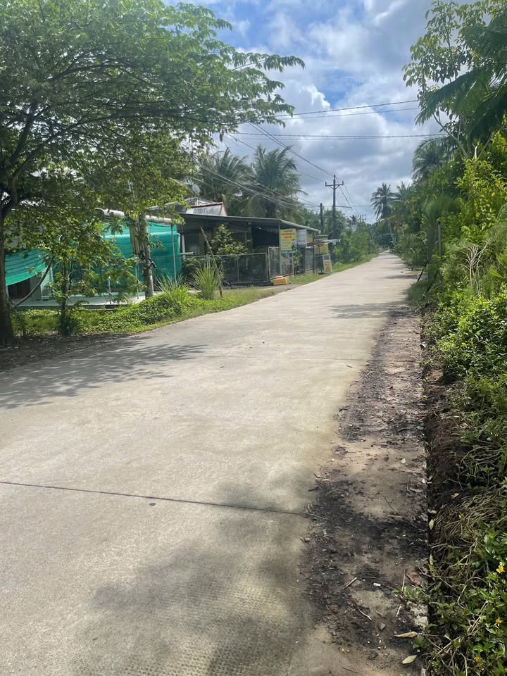 Đất thổ cư 500m² tại xã Tân Thành Bình, Vĩnh Long - Cơ hội đầu tư tuyệt vời!