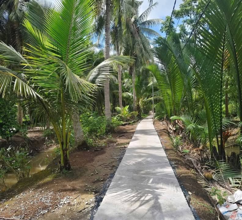 Đất nền Hòa Lộc Mỏ Cày Bắc 1000m² giá 399 triệu - Cơ hội đầu tư sinh lời!