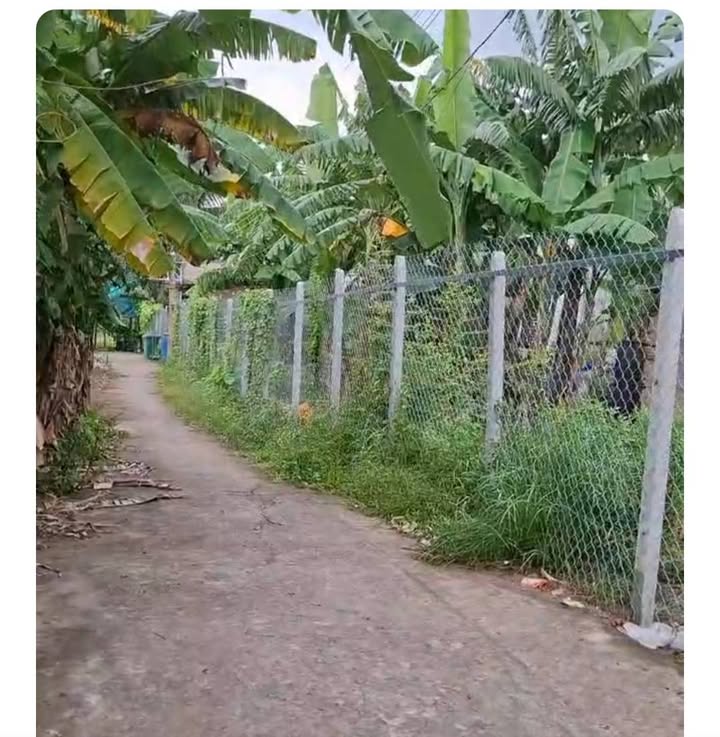 Đất thổ cư 209m² Cầu Đình Thủ Đức giá 5.5 tỷ - Tiềm năng sinh lời cao!