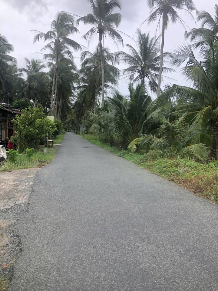 Đất mặt tiền đường nhựa 500m² tại xã Vang Quới Tây - Giá chỉ 900 triệu