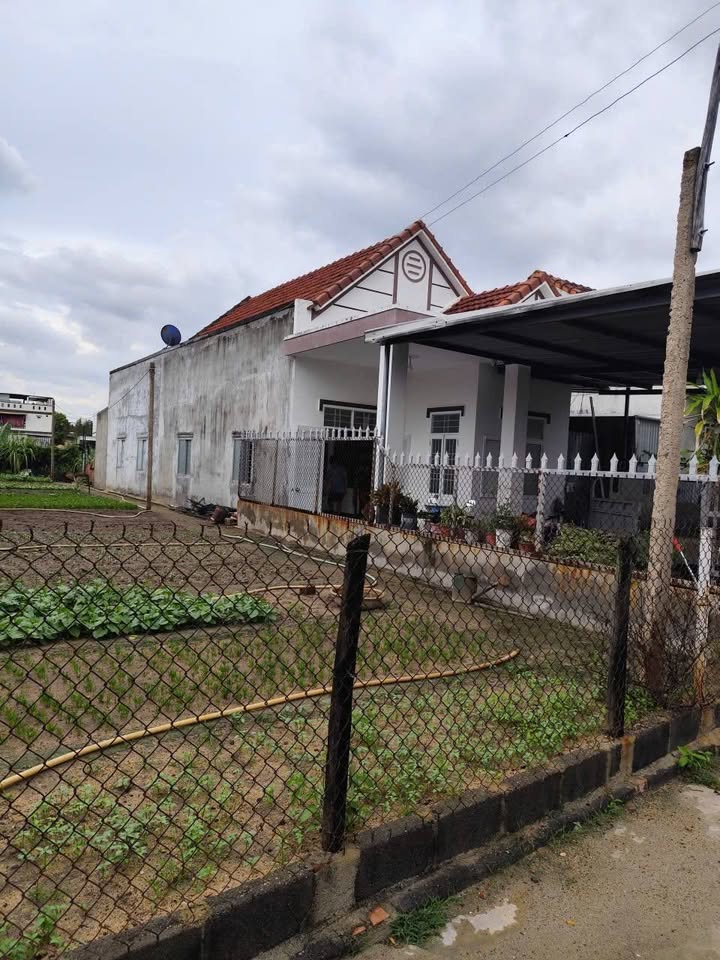 Nhà cấp 4 phường Đông Ninh, Cam Ranh 188m² giá 1.95 tỷ - Vị trí thuận lợi gần biển