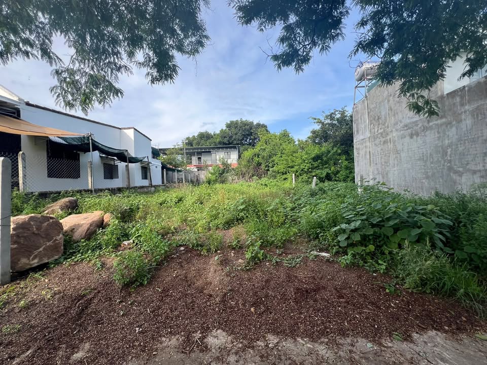 Đất Hẻm Lộc An, Cam Lộc 84m² giá 1.2 tỷ - Sổ đỏ chính chủ, vị trí trung tâm!