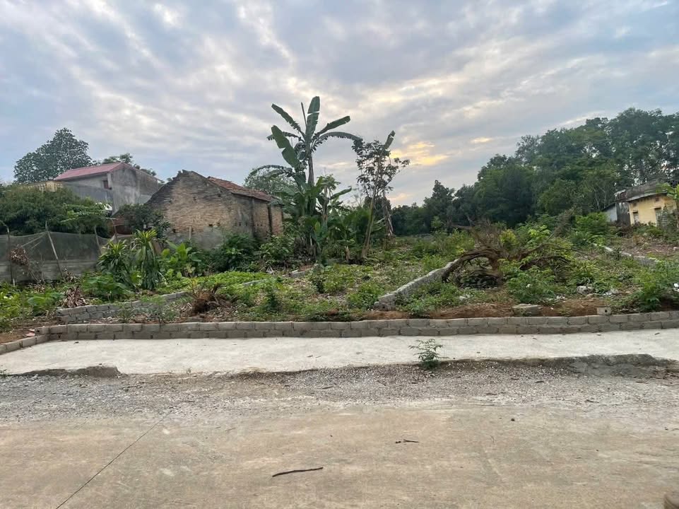 Đất nền Thị Trấn Thắng 124m² giá 7 tỷ - Cơ hội sở hữu ngay!