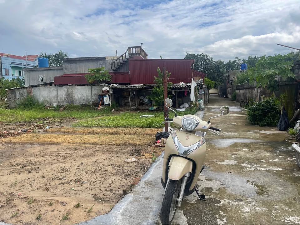 Đất thổ cư Tân Học Thái Thụy 100m² giá 500 triệu - Đầu tư sinh lời ngay!
