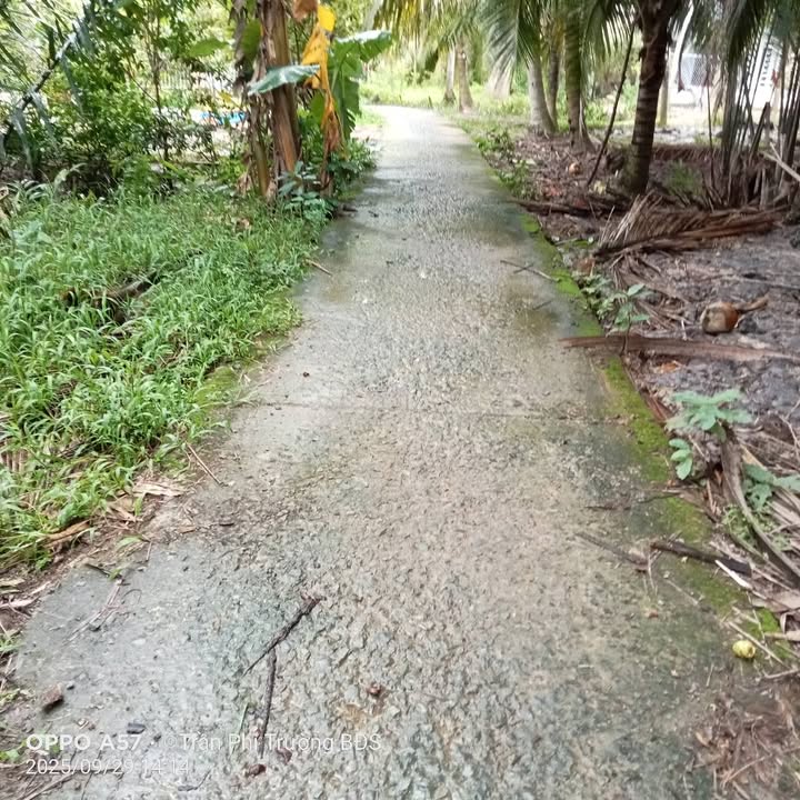 Đất vườn Tân Thành Bình 3000m² giá 2.25 tỷ - Cơ hội đầu tư hấp dẫn!