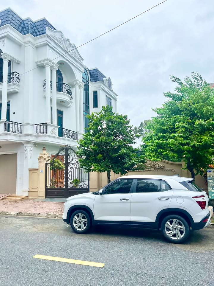 Đất siêu biệt thự tại phố Nguyễn Biểu, Hưng Yên - 225m² giá 25 tỷ - Đầu tư sinh lời ngay!