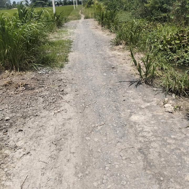 Đất nền đẹp xã Long Hồ, Vĩnh Long 170m² giá chỉ 230 triệu - Đầu tư sinh lời ngay!