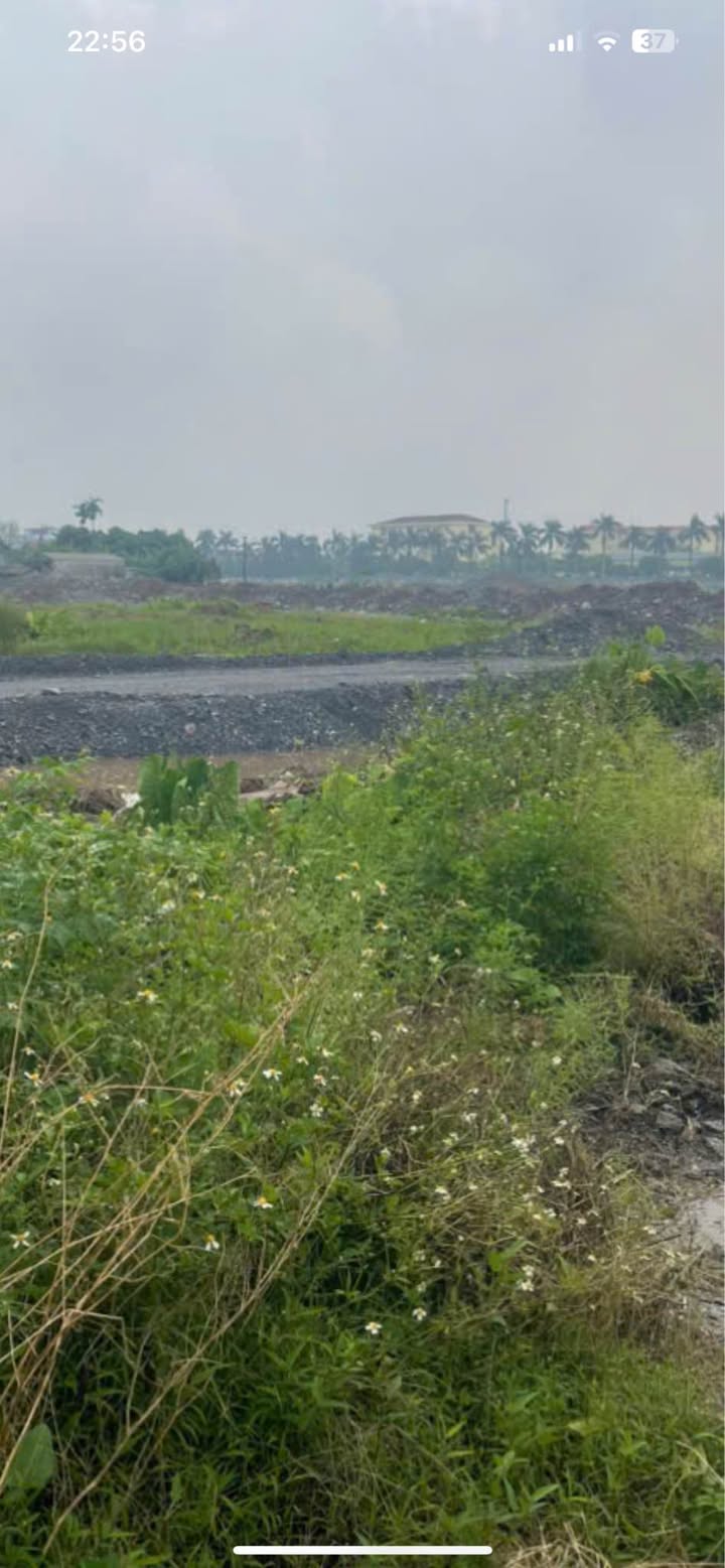 Đất thổ cư Lê Hồng Phong, Phủ Lý 45m² giá 1.25 tỷ - Cơ hội đầu tư tuyệt vời!