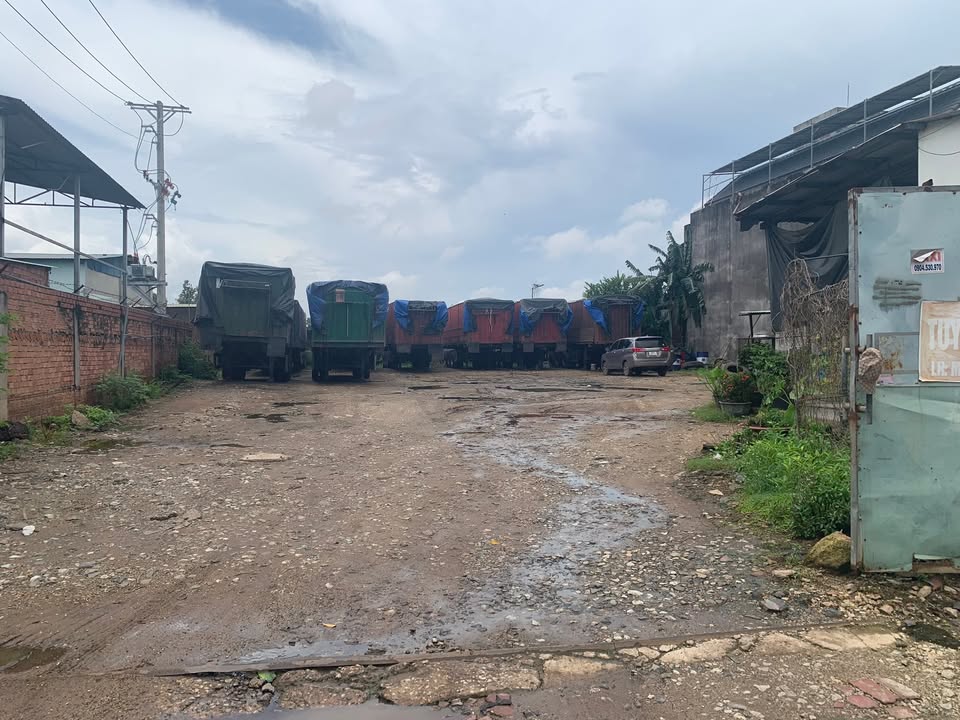 Đất mặt tiền đường Nguyễn Huệ, Phú Mỹ 1000m² - Cơ hội đầu tư tuyệt vời!