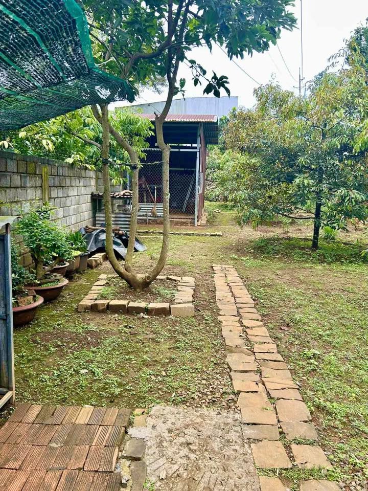 Nhà cấp 4 hẻm 02 Lam Sơn Bảo Lộc 300m² giá chỉ 2.8 tỷ - Thương lượng ngay!