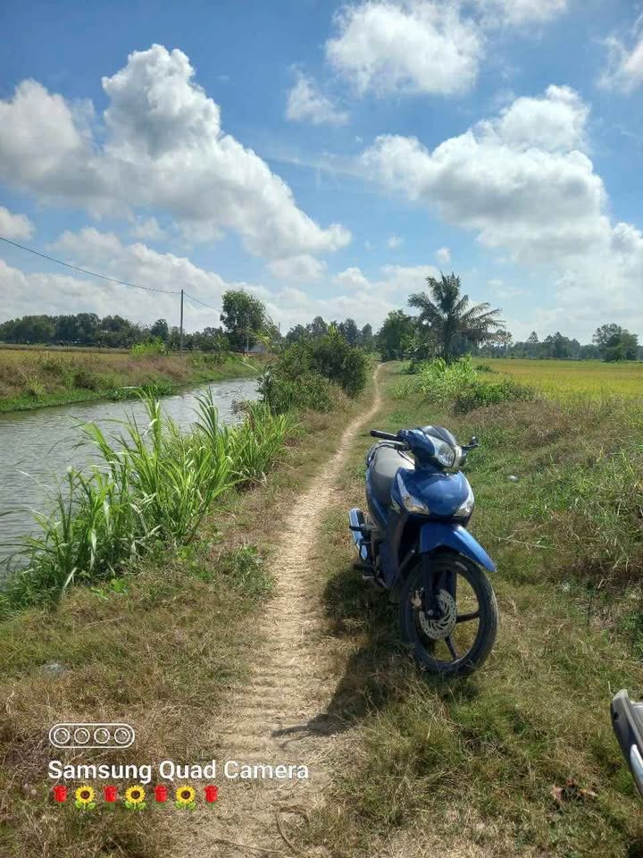 Đất ruộng Sà Vần B, Ngọc Biên, Trà Cú 36,000m² giá 120 triệu - Mặt tiền đường nhựa sắp hoàn thiện!