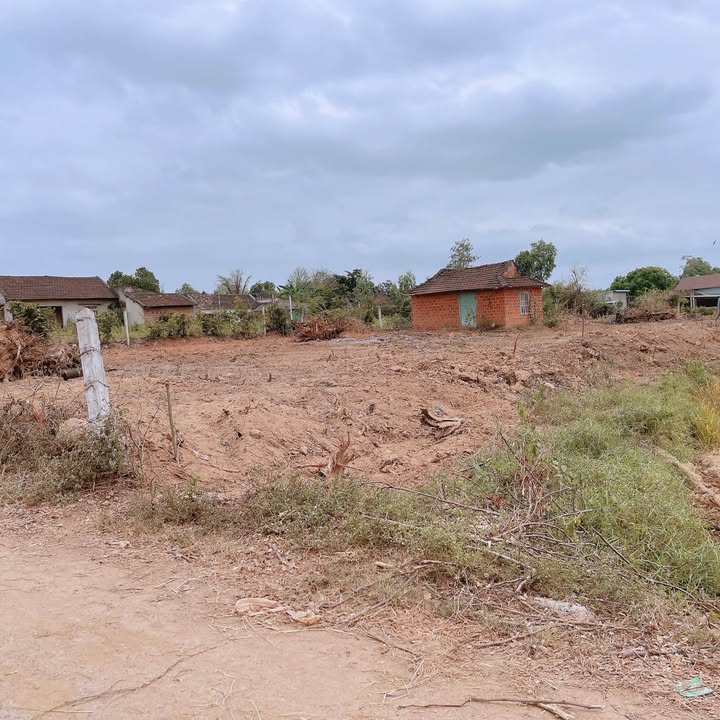 Đất Cát Tân 150.6m² giá chỉ 200 triệu - Đường xe container chạy!