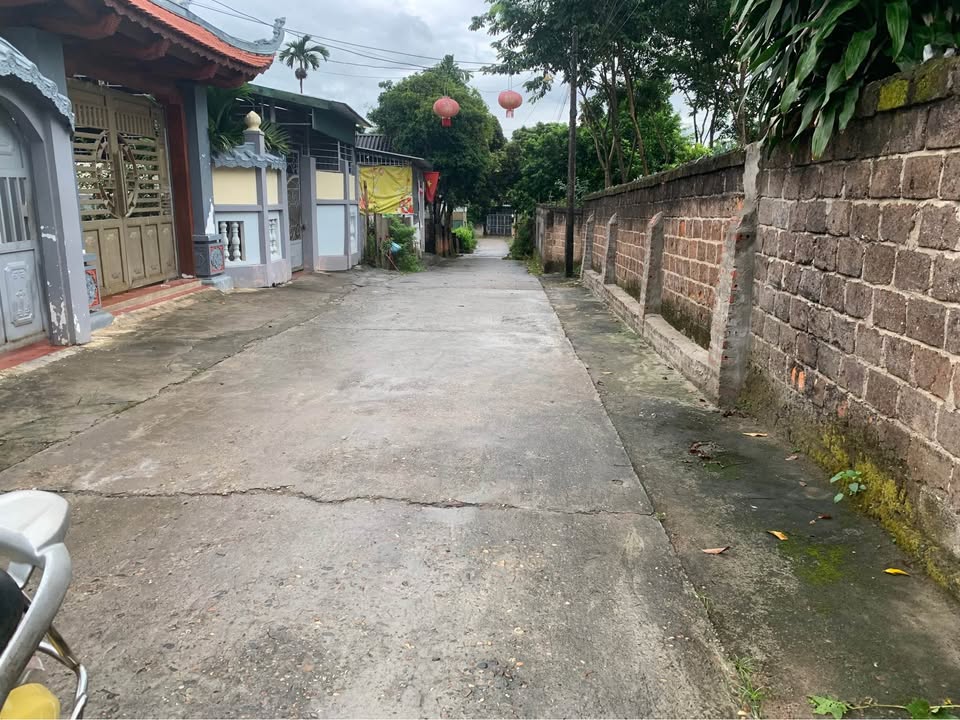 Bán đất Tổ 14 An Tường 520m² giá 3.5 tỷ - Vị trí đẹp, tiềm năng sinh lời!