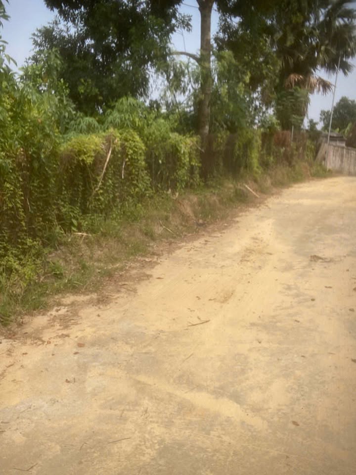 Đất thổ cư Thịnh Đức 150m² giá 600 triệu - Cơ hội đầu tư tuyệt vời!