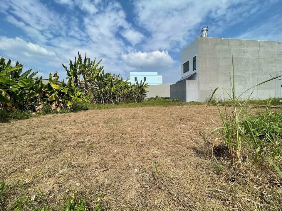 Đất thổ cư 130m² tại xã Tân Thông Hội, Củ Chi - Giá 2.15 tỷ, đầu tư sinh lời!