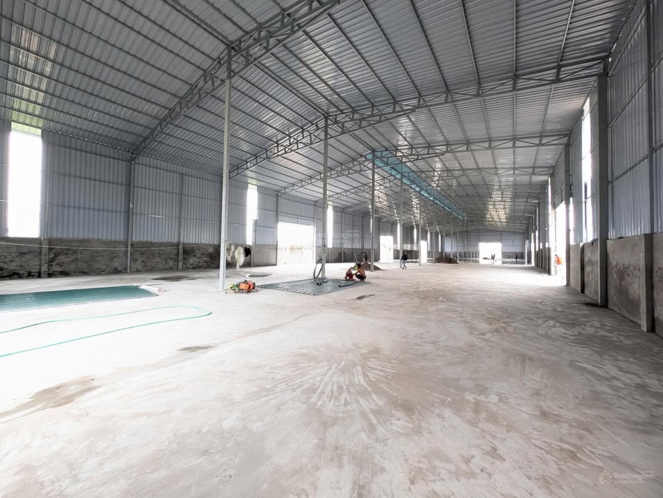 Cho thuê kho xưởng Tiên Dương, Đông Anh, 3840m² - Đường rộng, dễ dàng vận chuyển!