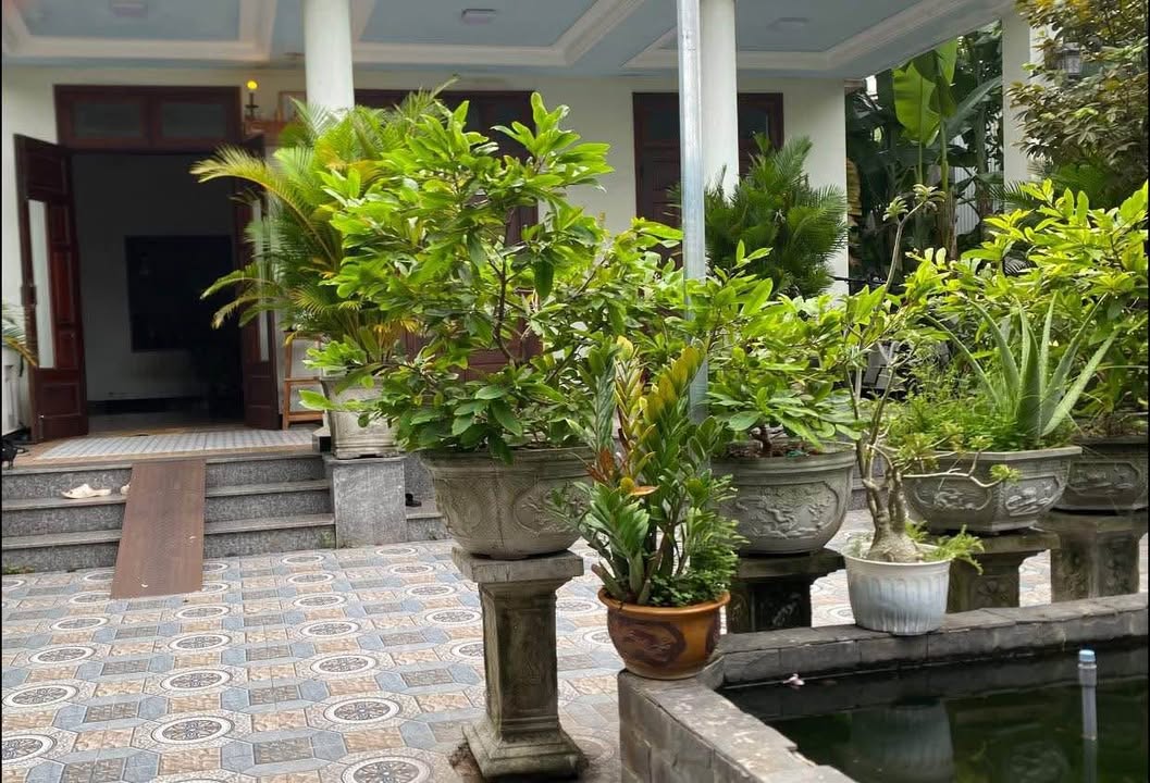 Nhà cấp 3 Hòa Xuân, Cẩm Lệ 260m² giá 9 tỷ - Sân vườn rộng rãi!