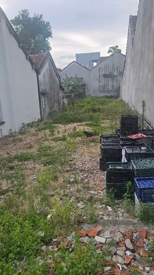 Lô đất Phú Đông 140m² giá 1 tỷ - Tiện ích hoàn hảo cho đầu tư!