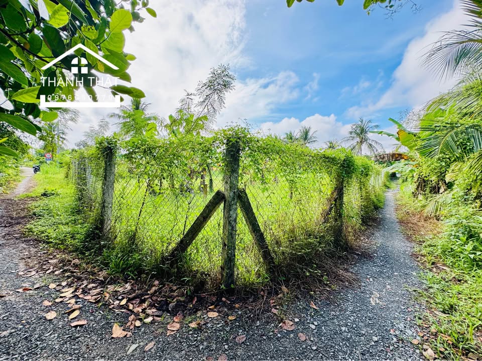 Đất thổ cư 1028m² tại Mỹ Tho - View kênh tuyệt đẹp, giá 3.1 tỷ!