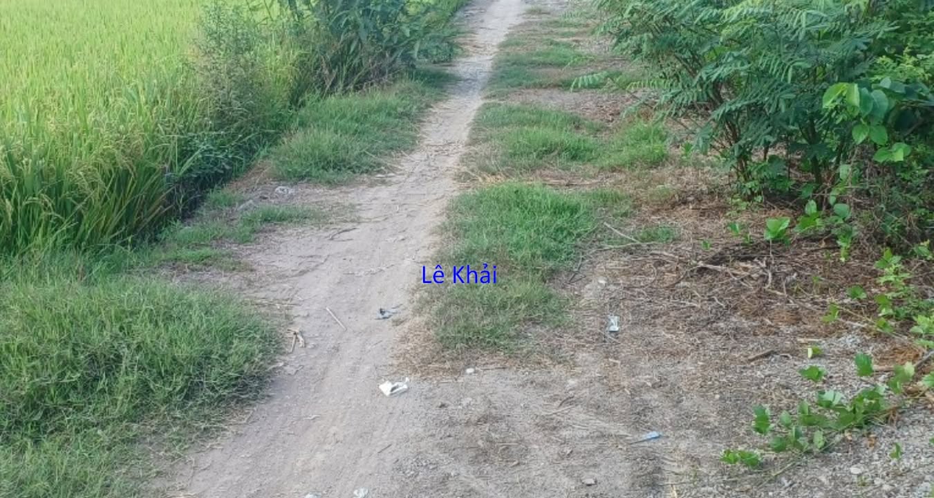 Đất nông nghiệp Tân Hội Trung 14.000m² giá 2.52 tỷ - Gần đường nhựa tiện lợi!