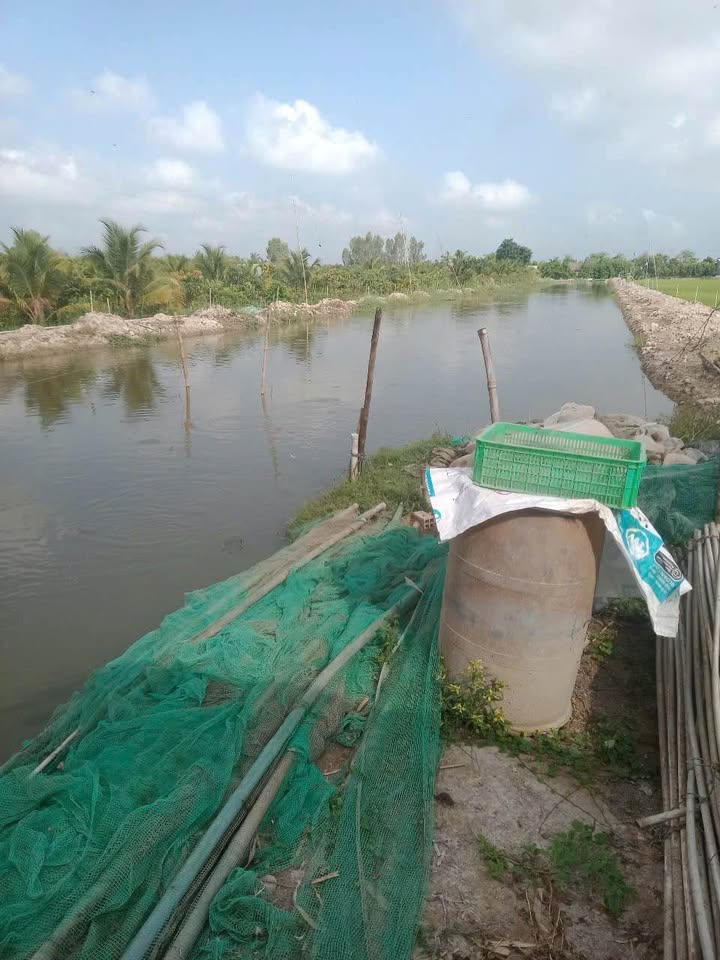 Đất Farm 5 công xã Bình Hàng Trung giá 160 triệu - Cơ hội đầu tư lý tưởng!