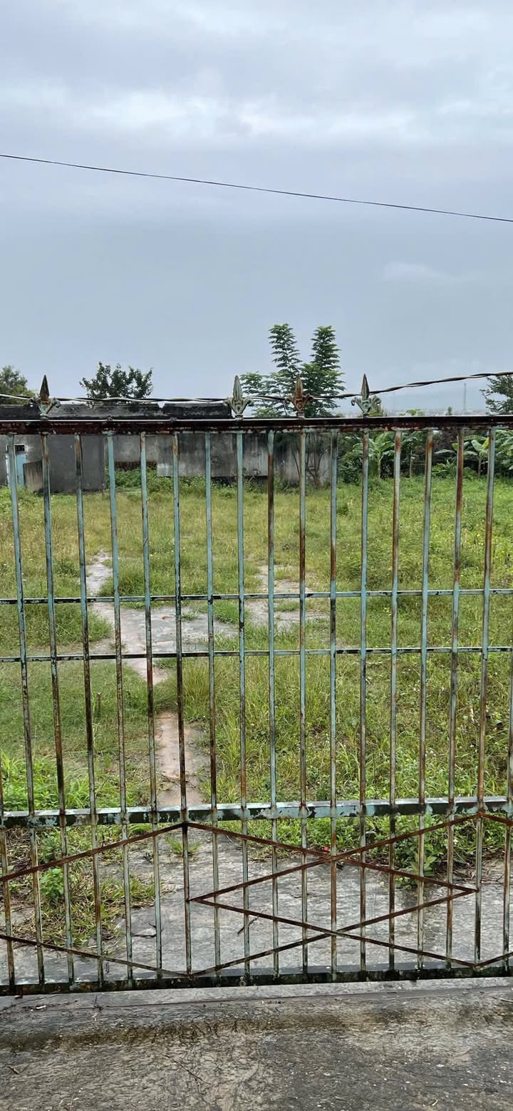 Đất thổ cư đường Quang Trung, Đăk Tô 270m² giá 800 triệu - Chính chủ bán gấp!