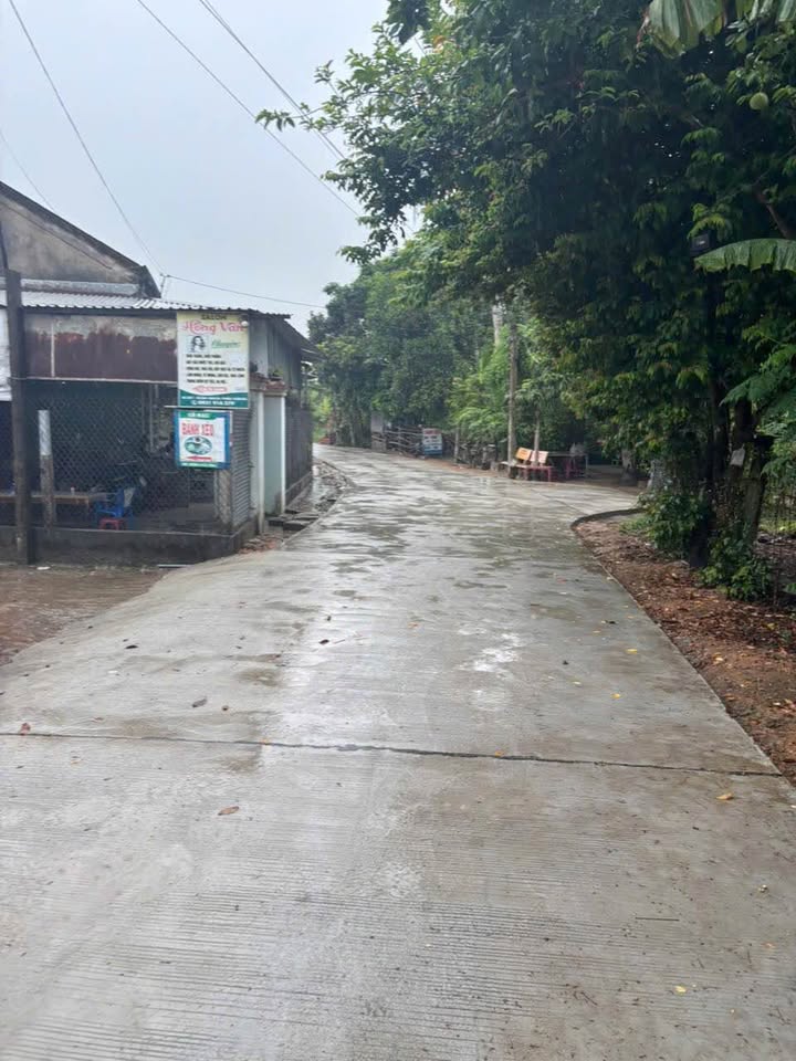 Lô đất 1000m² Tư Nghĩa - Giá chỉ 3.5 tỷ - Đầu tư sinh lời ngay!