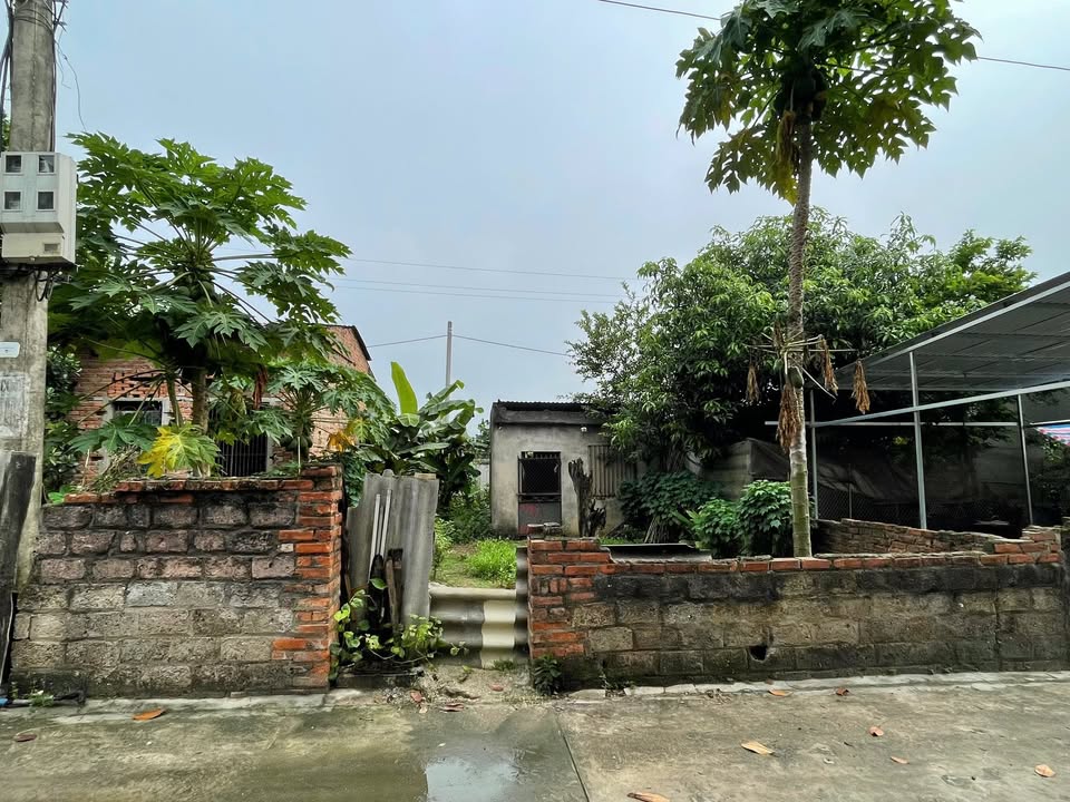 Đất nền Hòa Thạch, Quốc Oai 98m² - Sổ đỏ chính chủ, giá thỏa thuận!