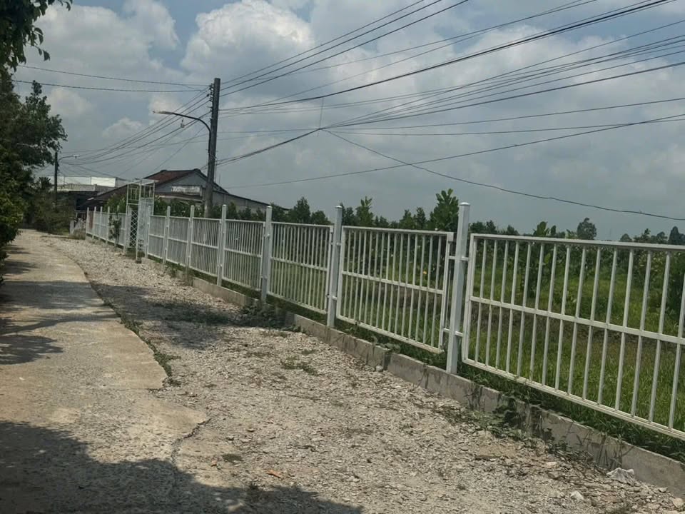 Đất thổ cư 296,9m² tại Thới Long, Ô Môn - Giá chỉ 3 tỷ, đầu tư sinh lời!