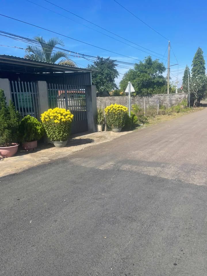 Lô đất mặt tiền đường nhựa Long Khánh 189m² giá 1.02 tỷ - Đầu tư sinh lời ngay!