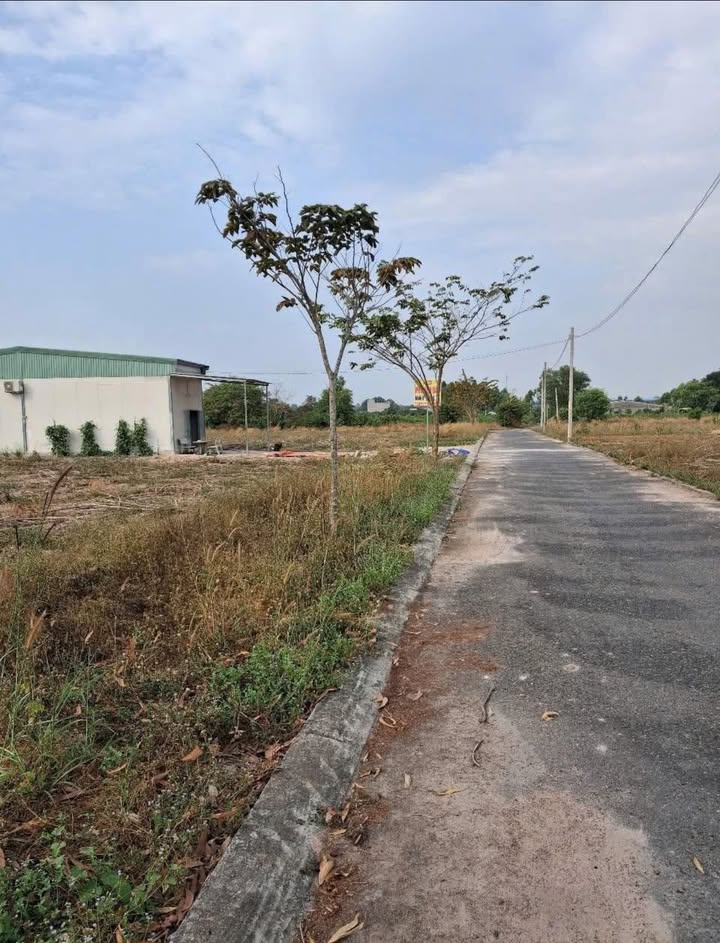 Đất nền 190m² mặt tiền đường nhựa - Kp4, Hắc Dịch chỉ 1.25 tỷ!