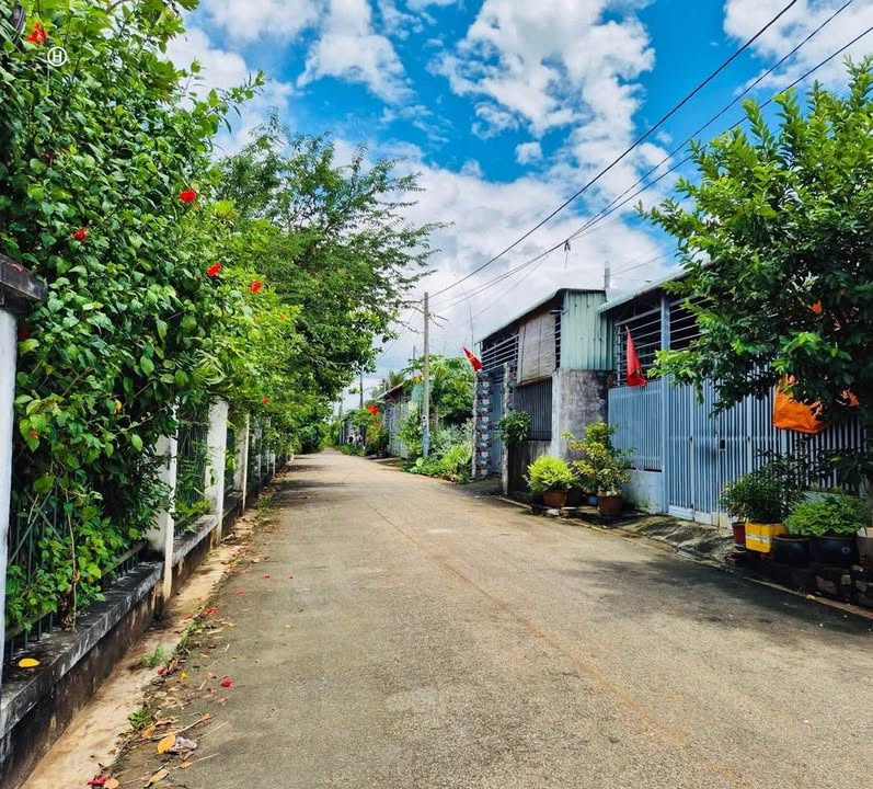 Đất nền đường 15, phường Hòa Long, Bà Rịa - 172m² chỉ 1.65 tỷ - Đầu tư sinh lời!