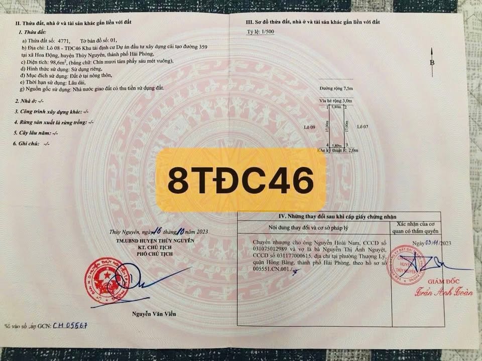 Đất nền TĐC Hoa Động 98,6m² giá chỉ 5 tỷ - Cơ hội đầu tư tuyệt vời!