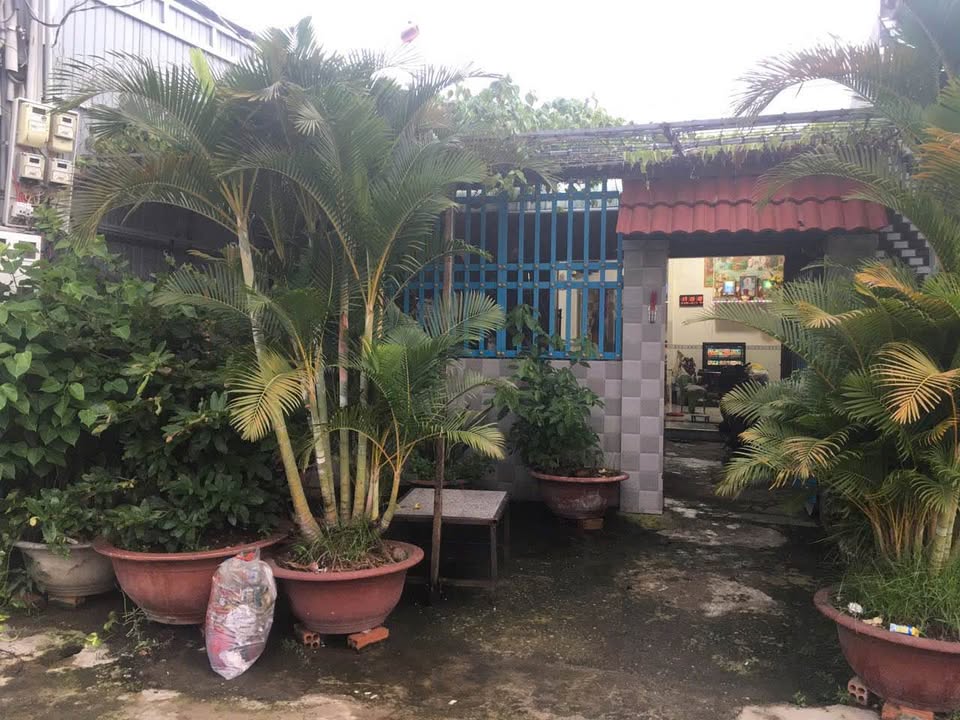 Nhà cấp 4 Phú Tài 100m² - Cơ hội sở hữu không thể bỏ qua!